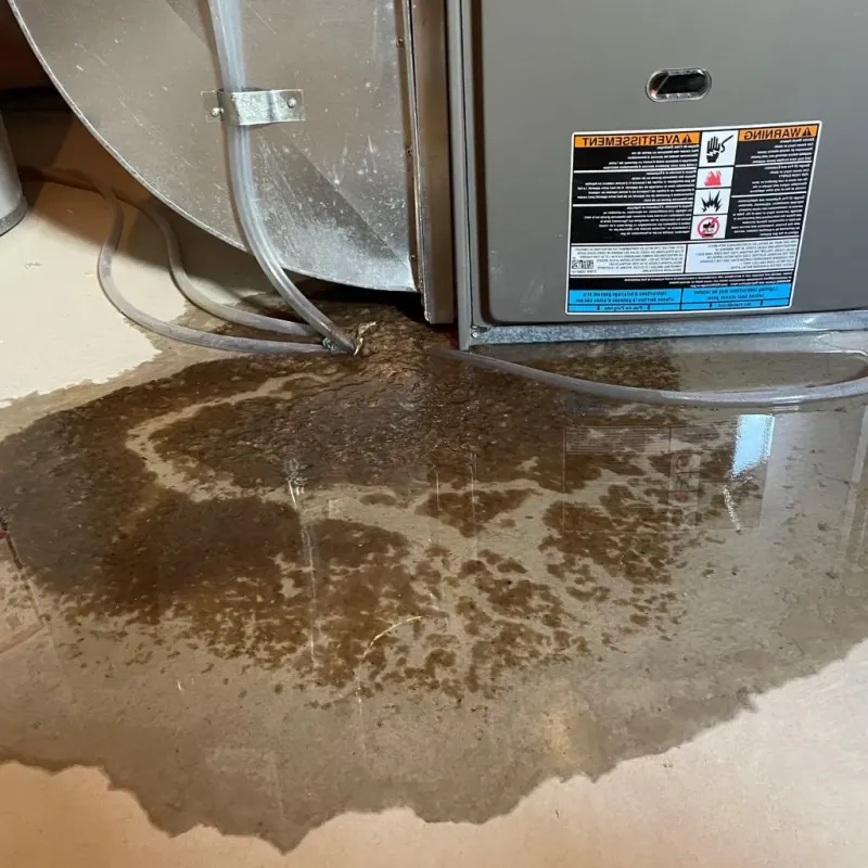 Pipe Burst and Leak Restoration in Mount Joy, PA